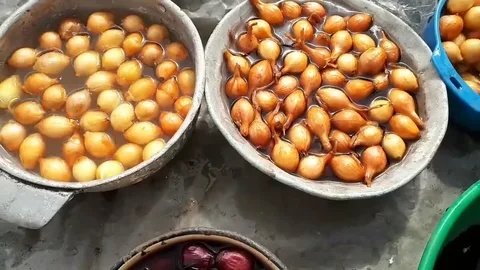 Забудьте про стрелки: зачем опытные огородники замачивают лук-севок в соде перед посадкой