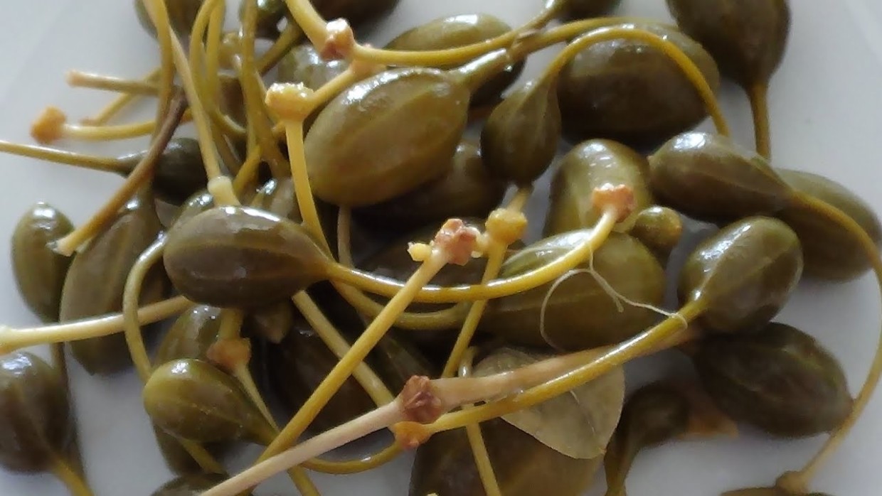 Те самые модные каперсы: что это вообще такое — и для чего нужно