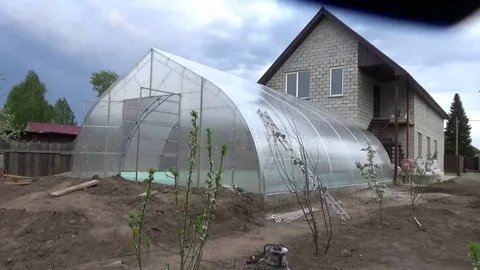 Больше никакого поликарбоната: дачники нашли вечное покрытие для теплиц, которое не боится града