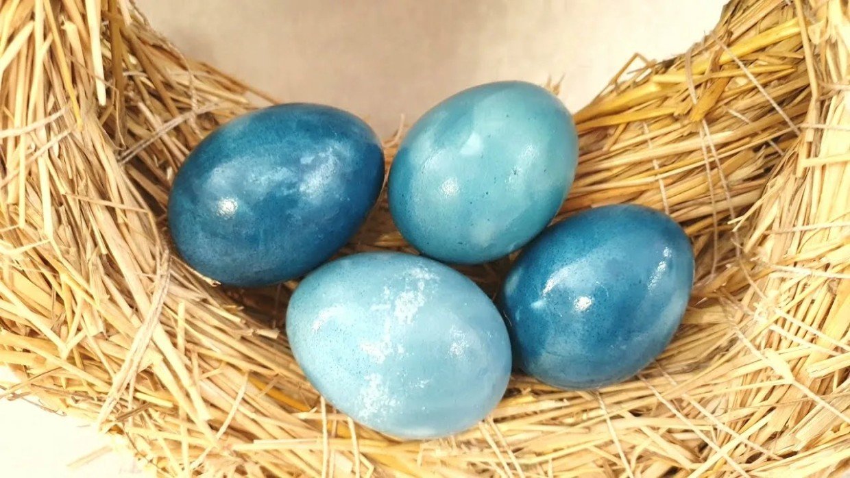 Забудьте про шелуху: как покрасить яйца в цвет «королевский синий» с помощью обычной капусты