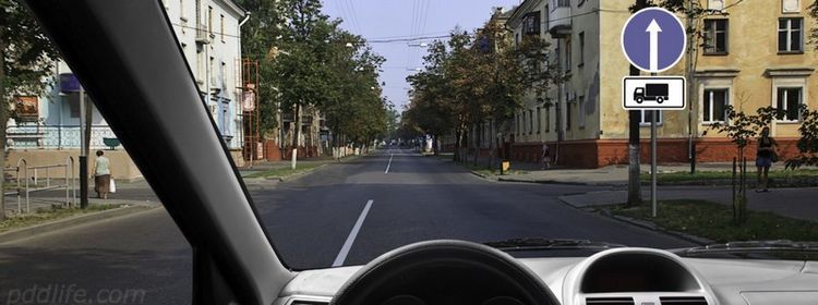 Синий круг со стрелкой кого ограничивает — не спешите с выводами: 30% ошибок на экзамене по ПДД