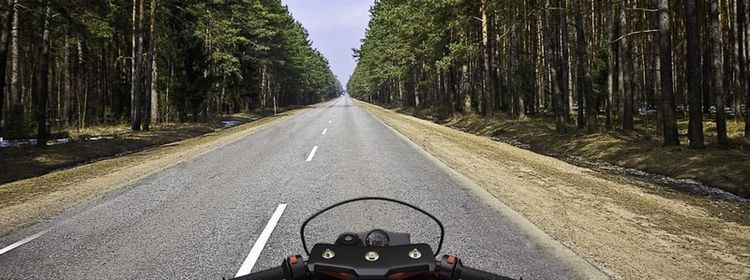 Делай, что хочешь, — все ошибки только в вашей голове: в психологическую ловушку попались 49% отвечавших на экзамене по ПДД