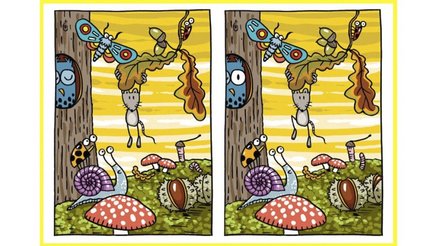 Тест на зоркость: найдите 10 отличий за 30 секунд, если ваш мозг работает на 100%