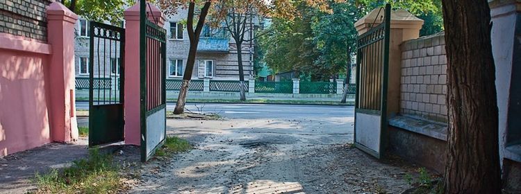 Курица не птица — двор не перекрёсток: вопрос экзамена по ПДД, на котором 25% зачем-то усложняют себе жизнь