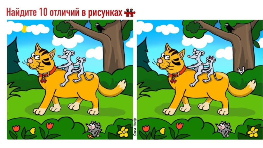 Кот, мышь и 10 отличий: проверьте свою внимательность за 55 секунд