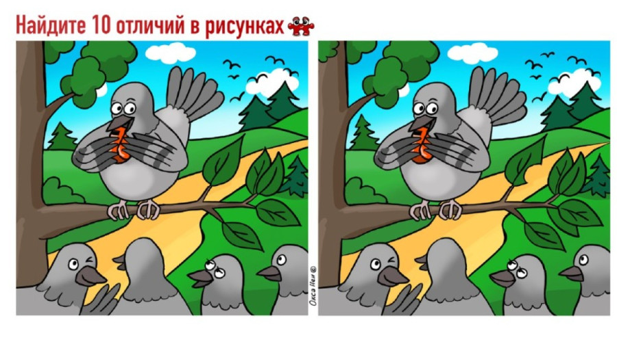 Хитрый маневр на ветке: сможете ли вы отыскать 10 мелких деталей на картинке меньше чем за минуту