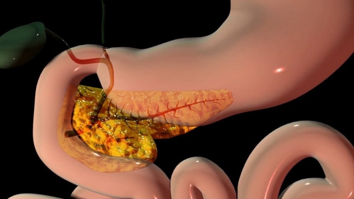 Вы сами её калечите: почему поджелудочная начинает сдавать позиции — 4 причины