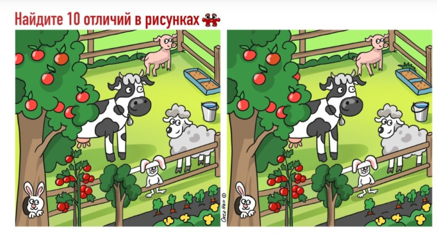 Найдите 10 отличий: деревенская идиллия, которая проверит ваш IQ за 44 секунды