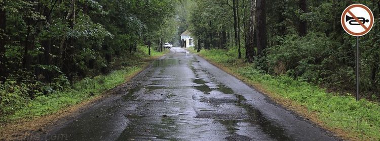 Слышал звон, да не знаешь, где он — никаких «фа-фа»: вопрос экзамена ПДД, где у клаксона есть всего один шанс, запороли 33% сдававших