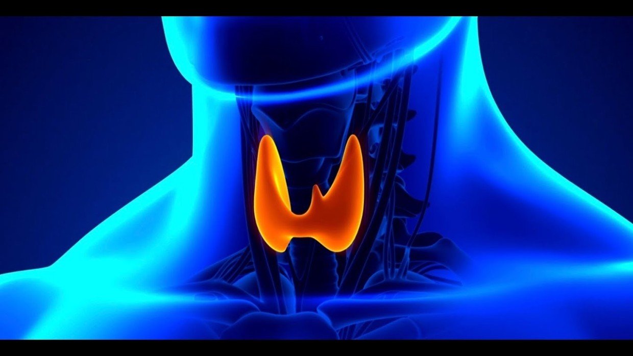 Щитовидная железа — причина вашего плохого самочувствия: 7 действий для здоровья органа