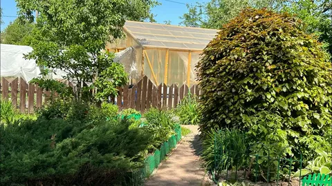 Майский марафон на даче: что посадить в первую очередь и как спасти будущий урожай от вредителей