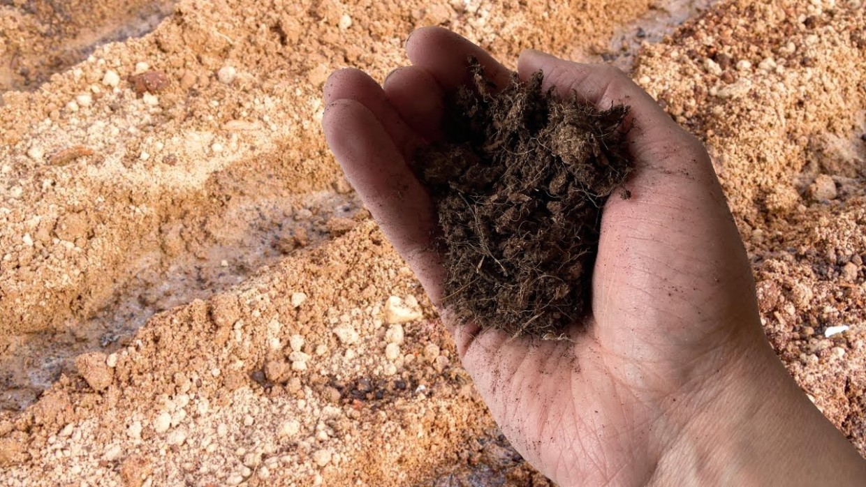 Чернозём каменеет: как восстановить структуру почвы — подробный план действий