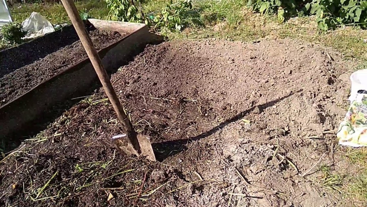 Фундамент для урожая: как подготовить почву к посадкам — питание и оздоровление