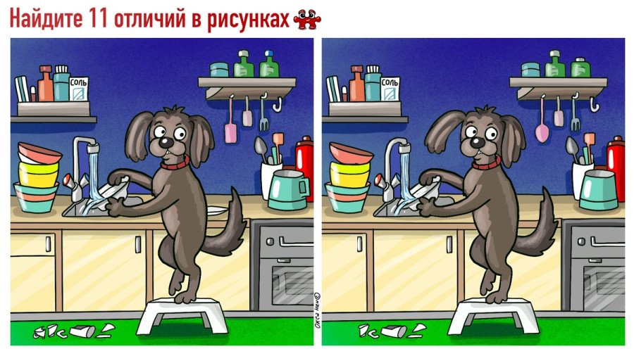 Тест на внимательность: найдите 11 отличий на картинке с пёсиком за 60 секунд