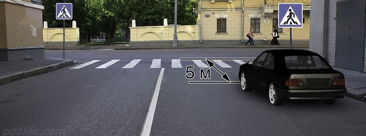 Двойные стандарты — вопрос ПДД, где ловушка прячется на переходе: обидную ошибку на экзамене допустили 56 процентов