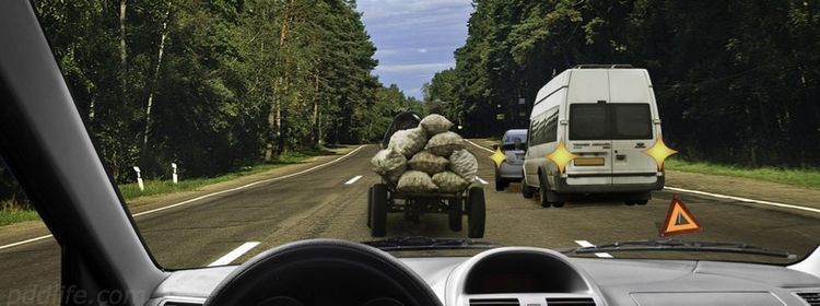 Третья полоса не для вас — даже если очень хочется объехать: на коварный вопрос экзамена по ПДД про крайнюю левую полосу не ответили 55%