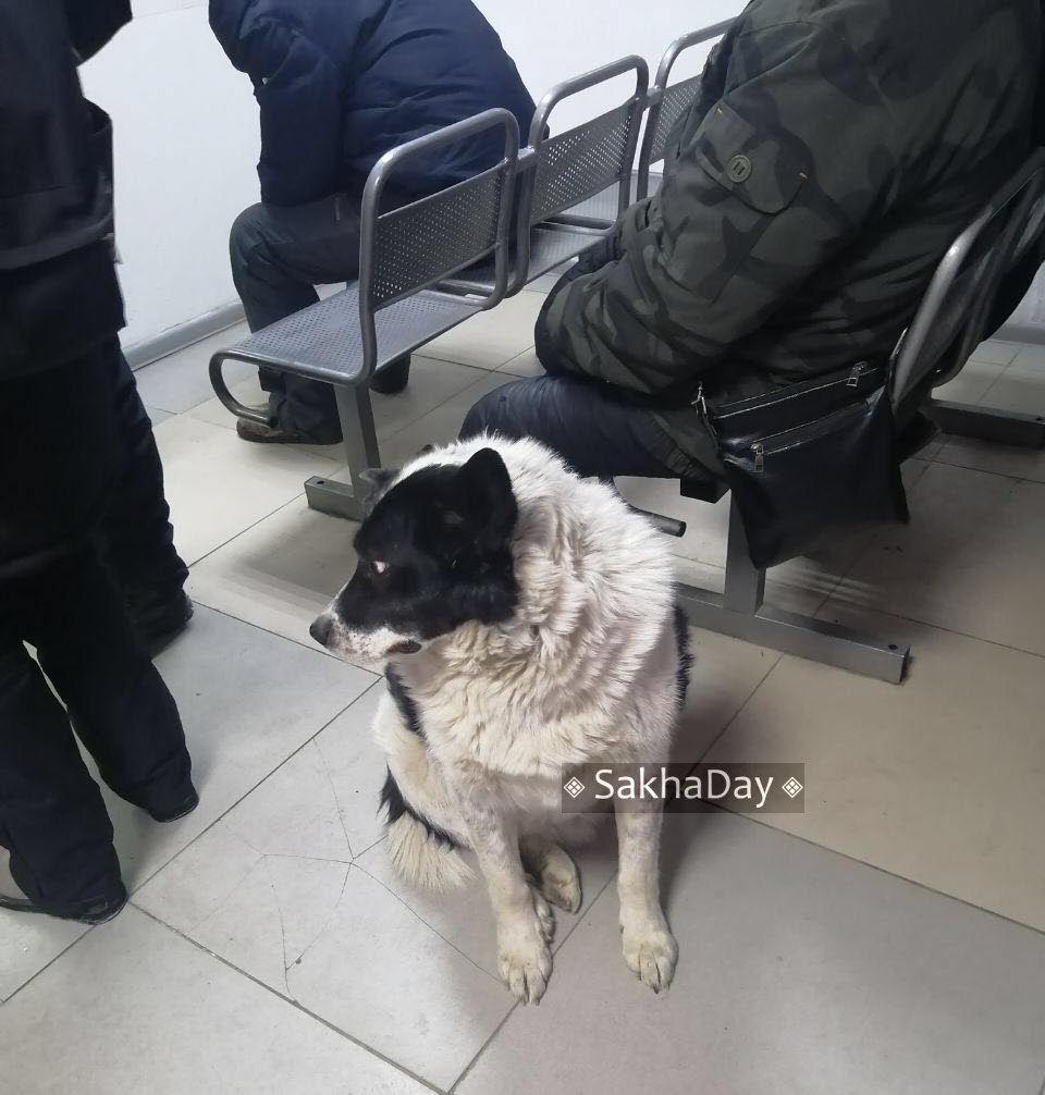 Теплые автобусные остановки закрываются на лето