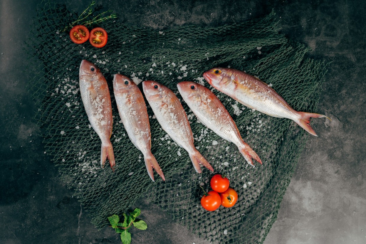 Форшмак как от Бога — очень вкусный и простой рецепт на любой праздник или просто так