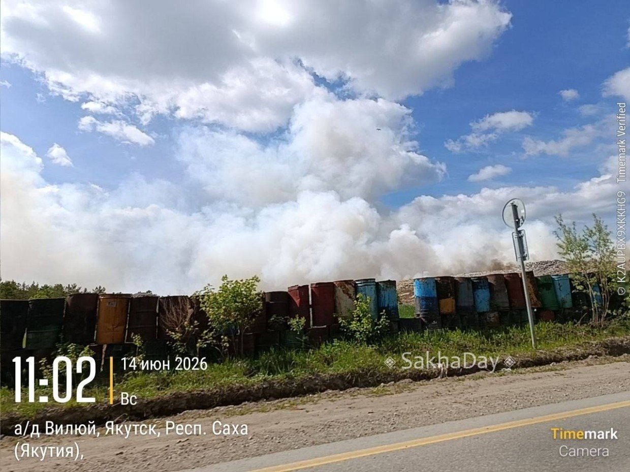 Сообщений, что в районе городской свалки был замечен медведь, не поступало