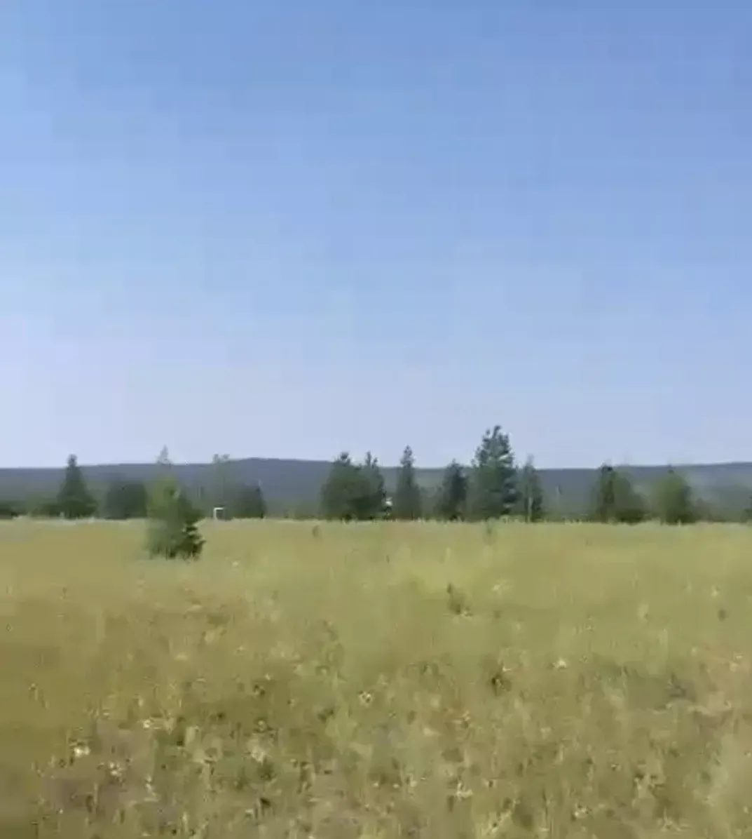 «Панорама» не продавала земельные участки в СНТ «Сатал»